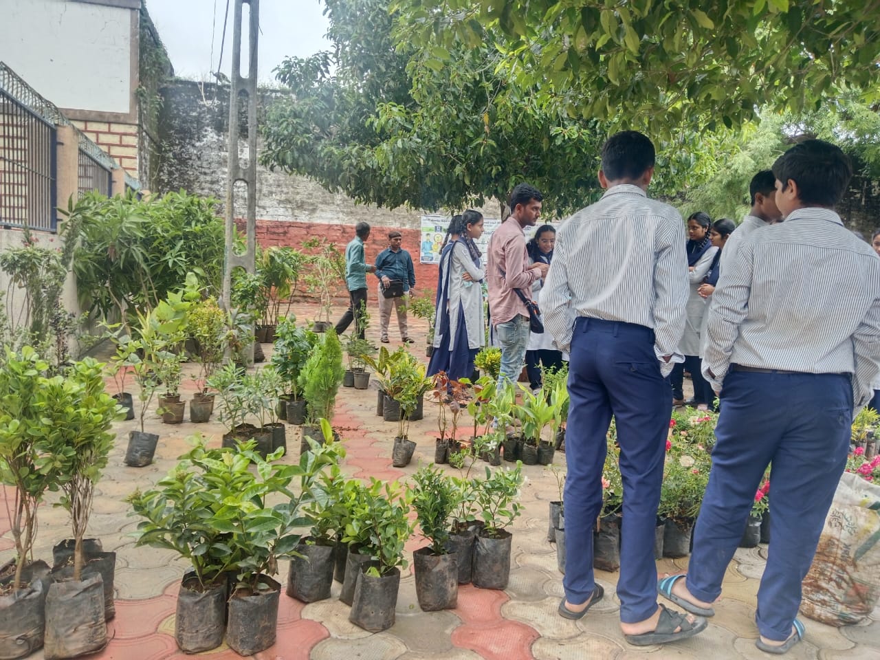 Health Camp